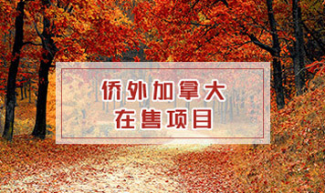 侨外加拿大在售项目